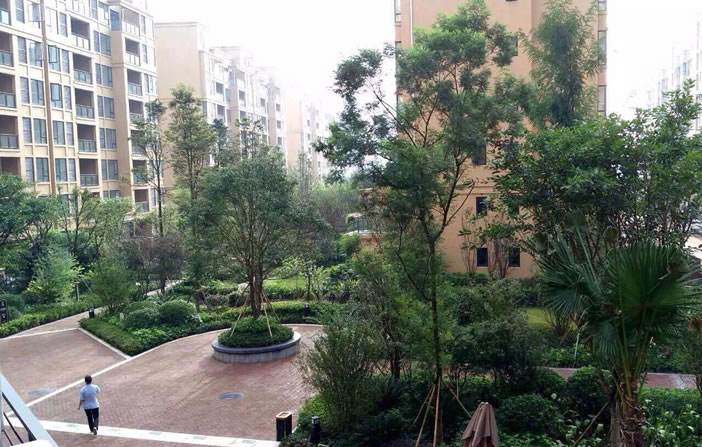 GPK������Ϸ����-ios/��׿/�ֻ���app����