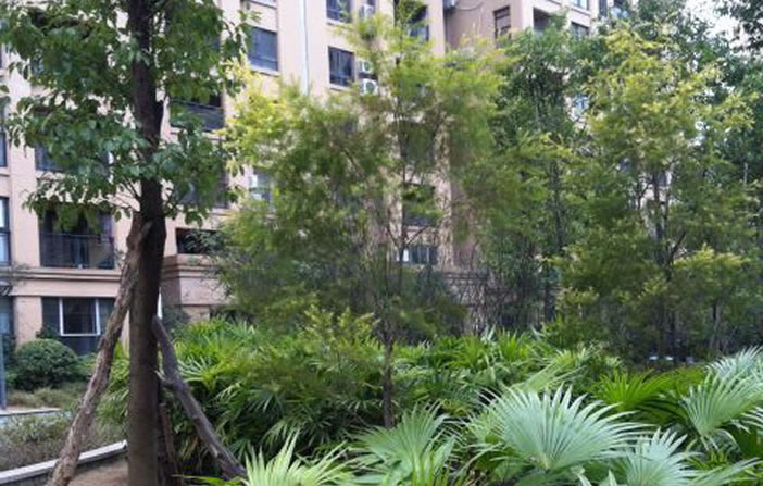 GPK������Ϸ����-ios/��׿/�ֻ���app����