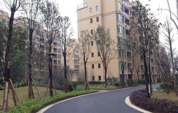 GPK������Ϸ����-ios/��׿/�ֻ���app����